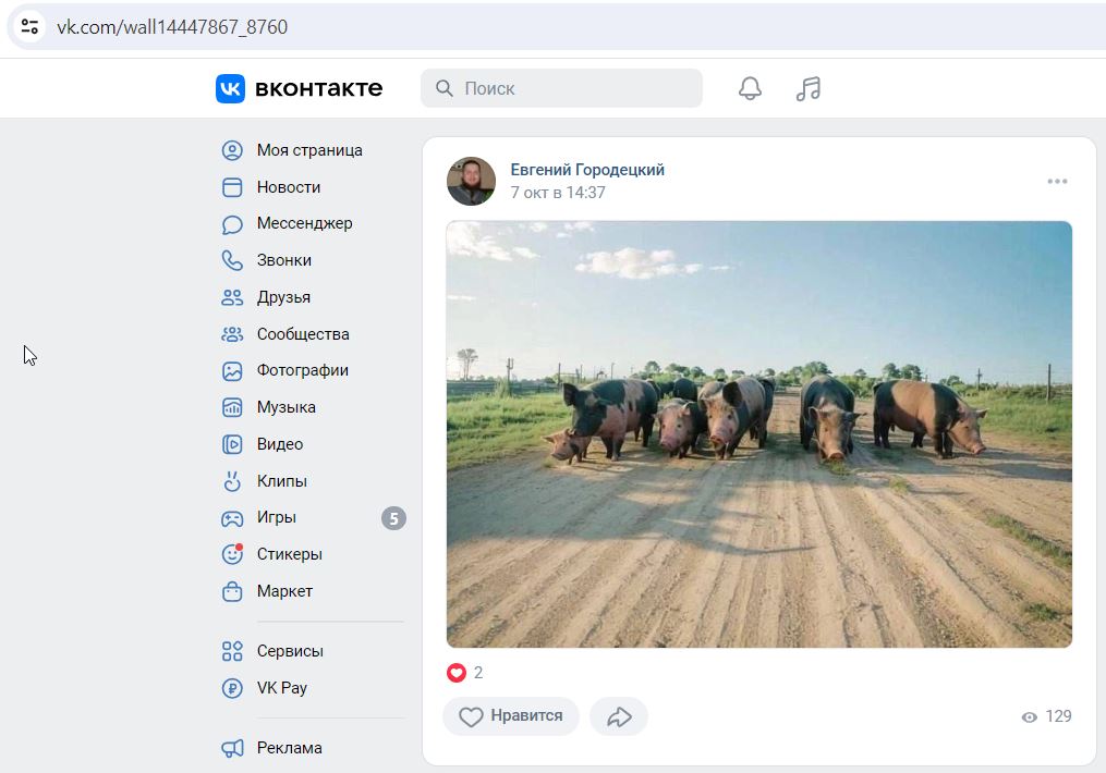 Gorodetskiy_Evgeniy_001__SoR_018__-VK.jpg